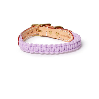 Macramé/Leather Dog Collar - Violet