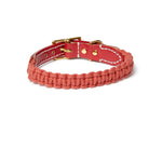 Macramé/Leather Dog Collar - Terracotta Red