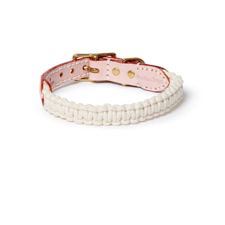Macramé/Leather Dog Collar - Soft Pink