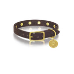 sebastian says dog collar pinatex brown