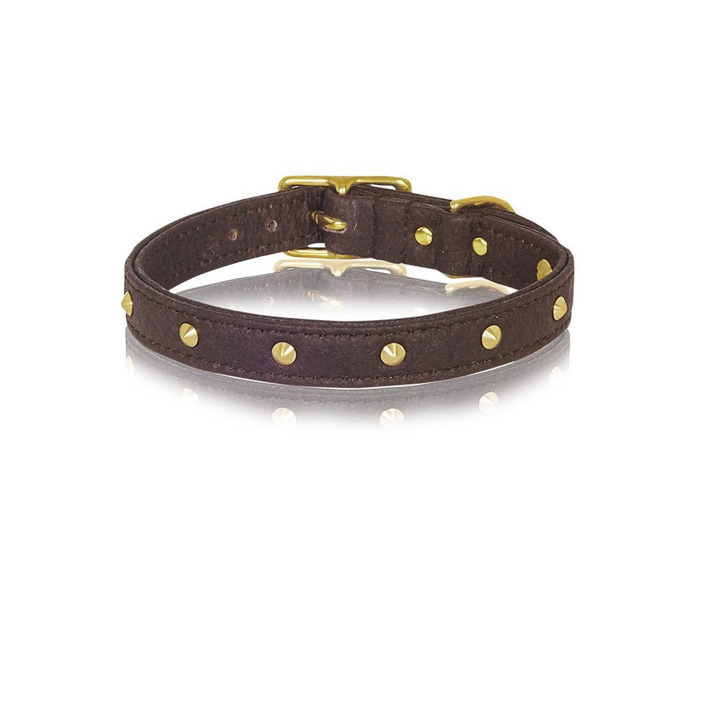 sebastian says dog collar pinatex brown