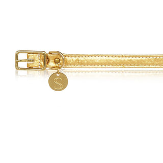 sebastian says dog collar pinatex gold