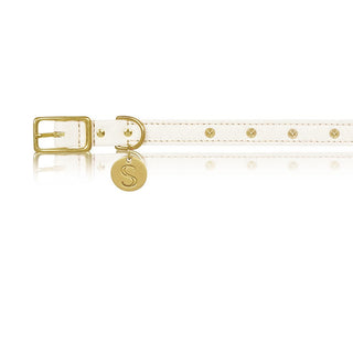 sebastian says dog collar pinatex natural