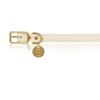 sebastian says dog collar pinatex natural