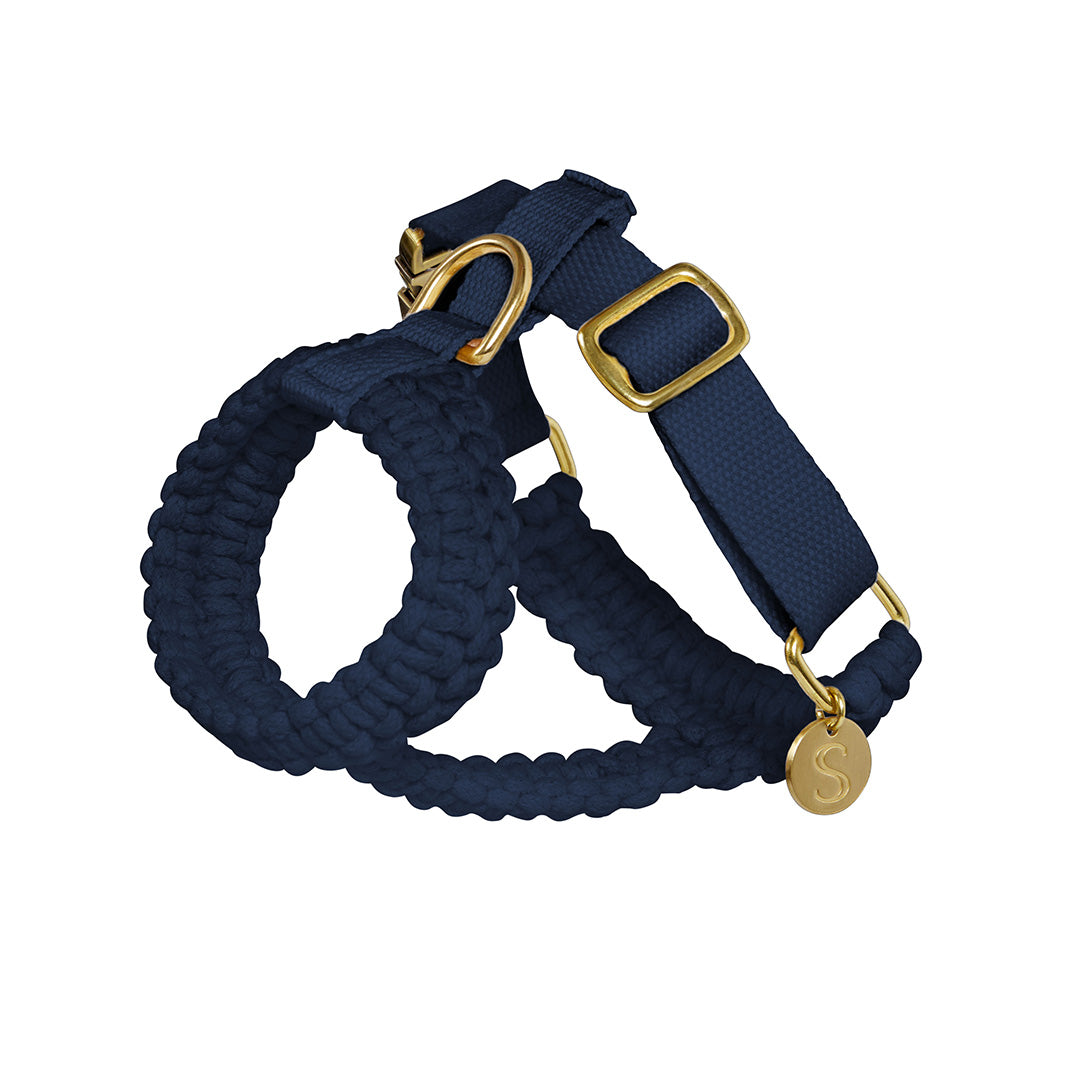 Gold dog harness deals