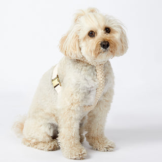 Macramé Originals Harness - Natural