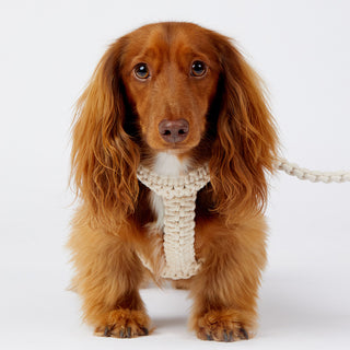Macramé Originals Harness - Natural