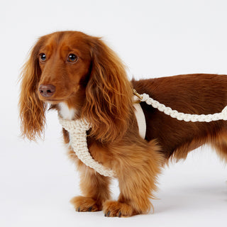 Macramé Originals Harness - Natural