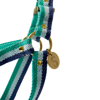 3-Stripe Step In Harness - Blue/Green