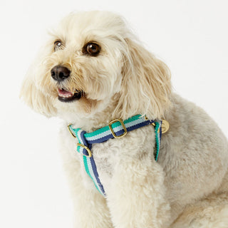 3-Stripe Step In Harness - Blue/Green