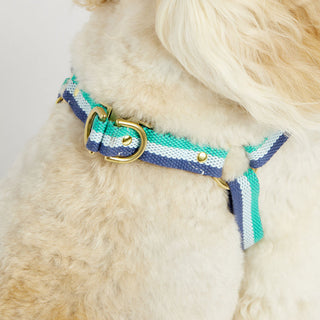 3-Stripe Step In Harness - Blue/Green