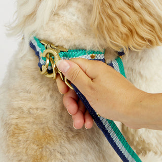 3-Stripe Step In Harness - Blue/Green