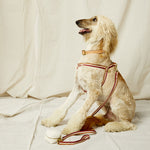 3-Stripe Step In Harness - Red/Toffee