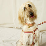 3-Stripe Step In Harness - Red/Toffee