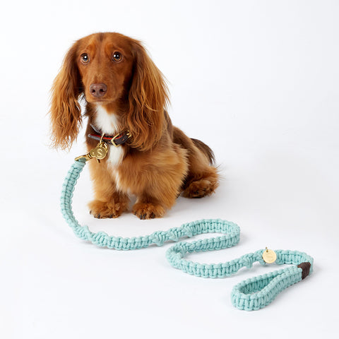 Macramé Originals Dog Lead - Blue