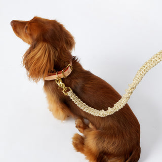 Macramé Originals Dog Lead - Gold