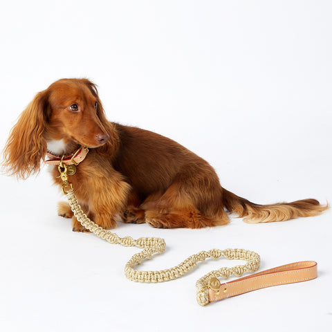 Macramé Originals Dog Lead - Gold