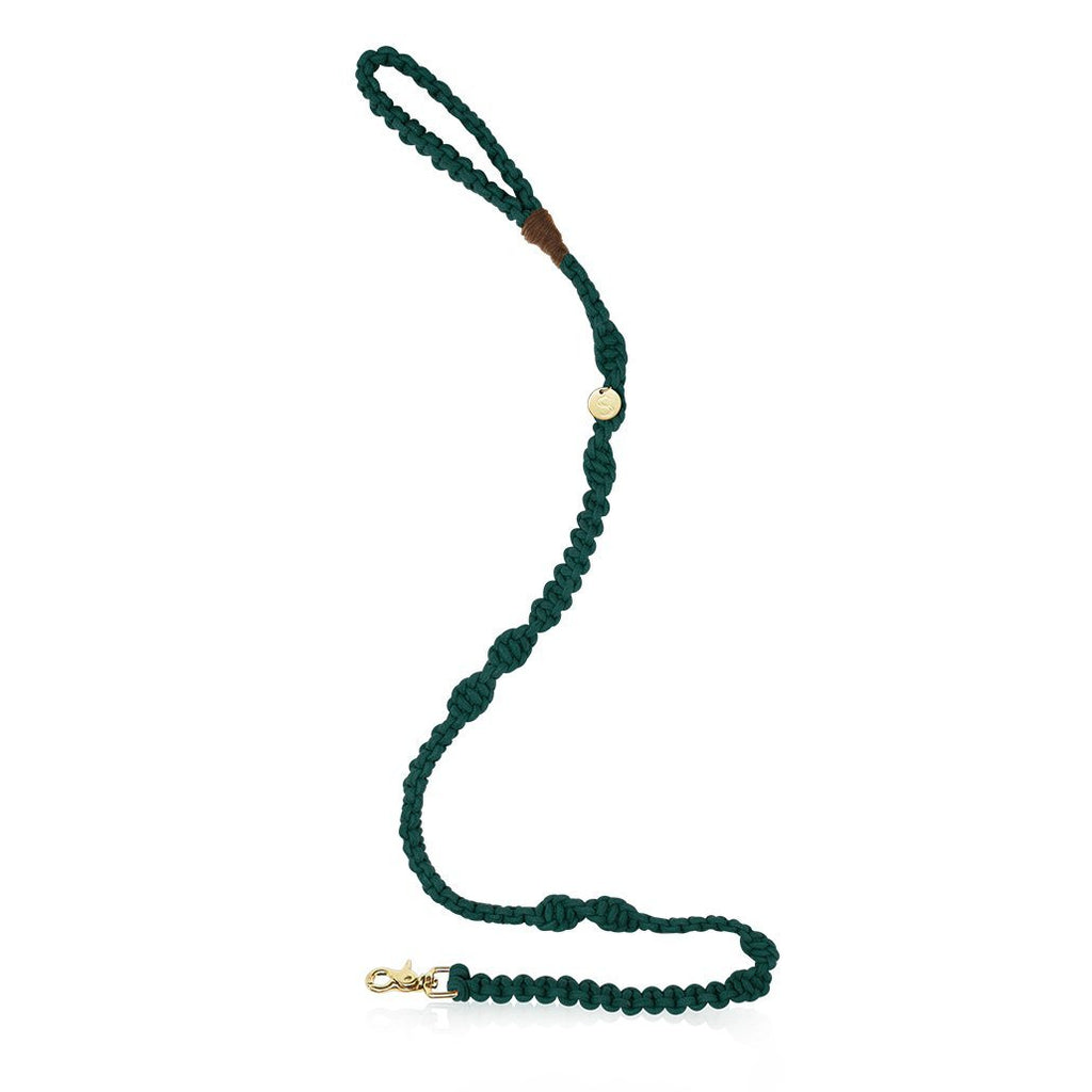 sebastian says dog lead leash macrame teal gold