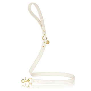 sebastian says dog lead pinatex natural