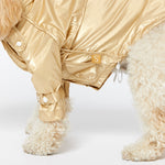 Raincoat - Gold