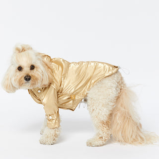 Raincoat - Gold