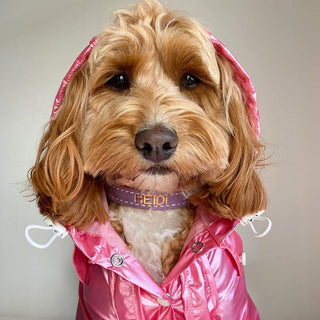 Raincoat - Hot Pink