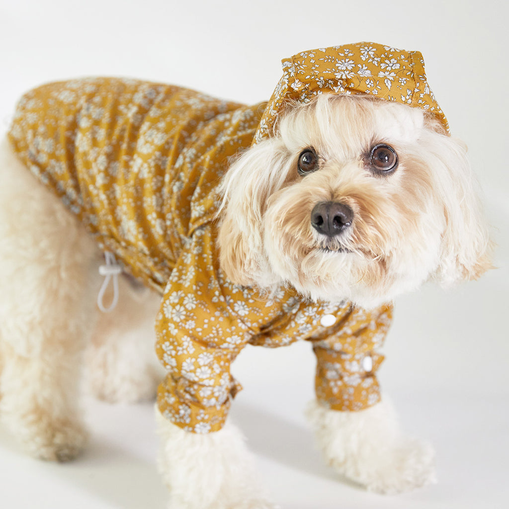 Liberty rainwear top