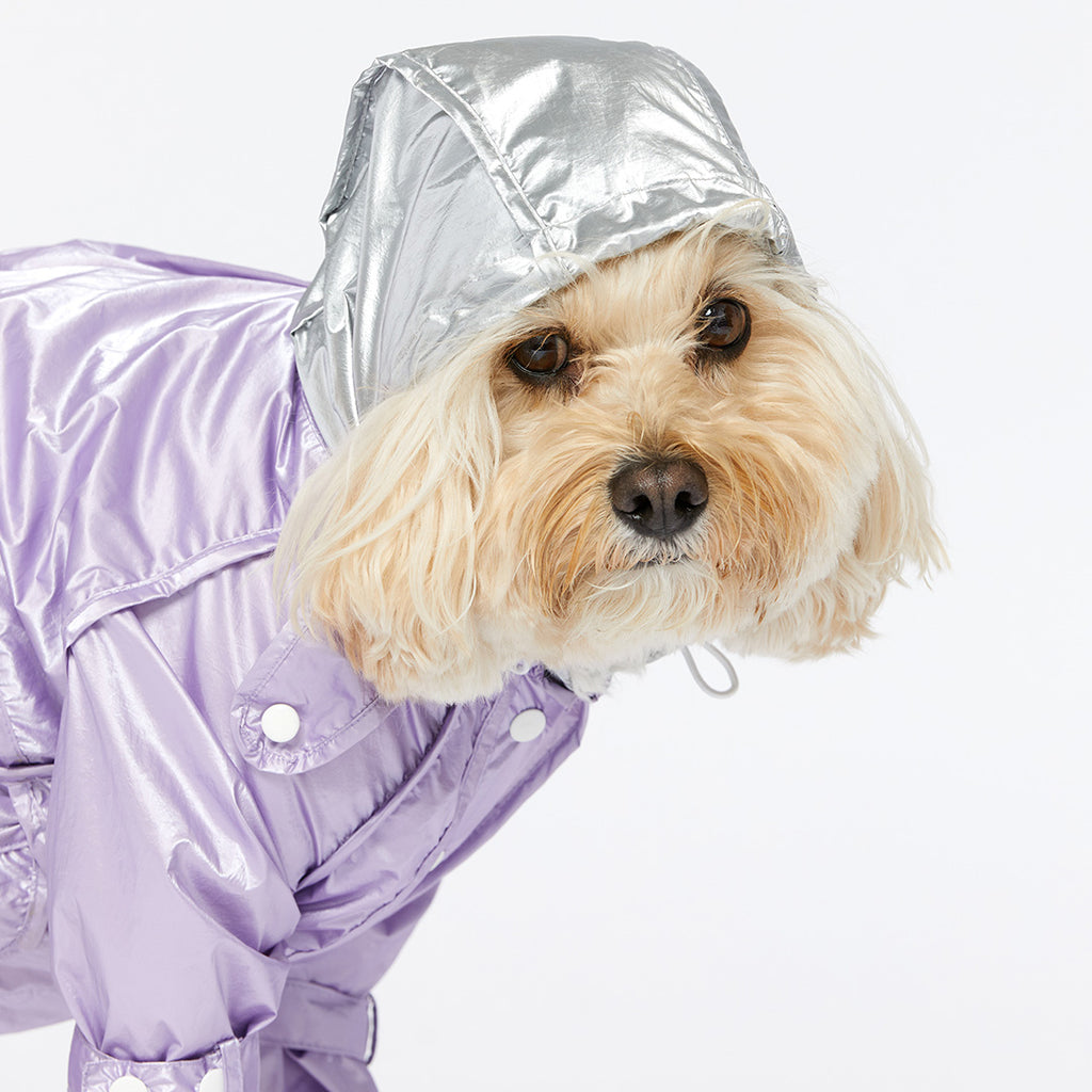 Raincoat - Violet