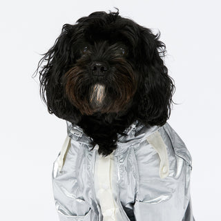 Raincoat - Silver