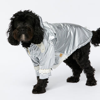 Raincoat - Silver