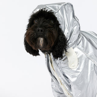 Raincoat - Silver