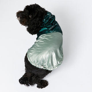 Raincoat - Teal