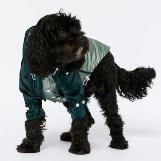 Raincoat - Teal
