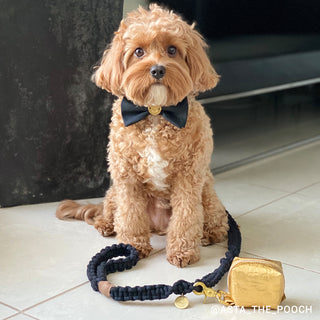 Macramé Originals Dog Lead - Black