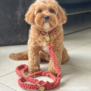 Macramé Originals Dog Lead - Terracotta Red