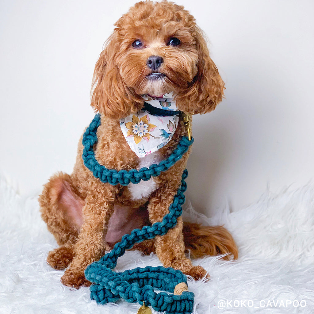 Macramé Originals Dog Lead - Teal