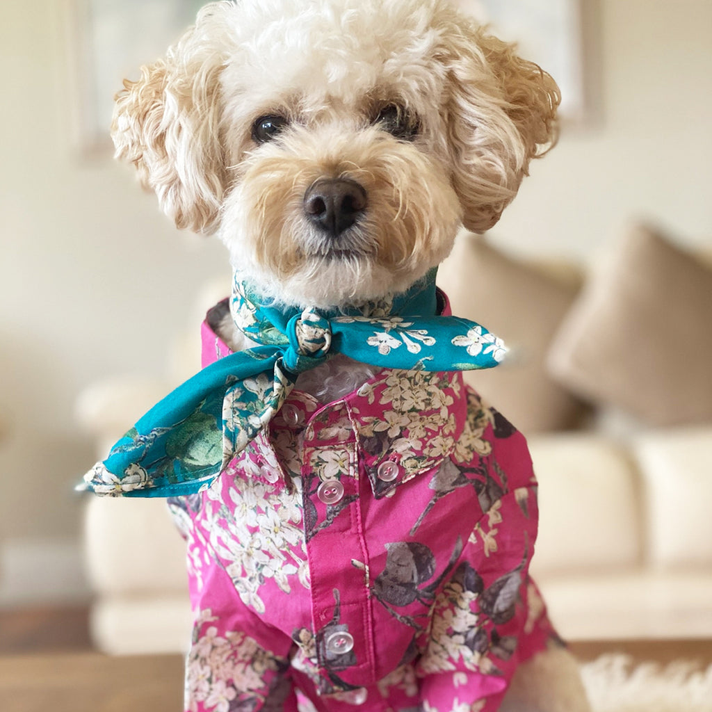 Liberty Dog Shirt - Pink Floral