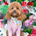 Liberty Dog Shirt - Soft Pink