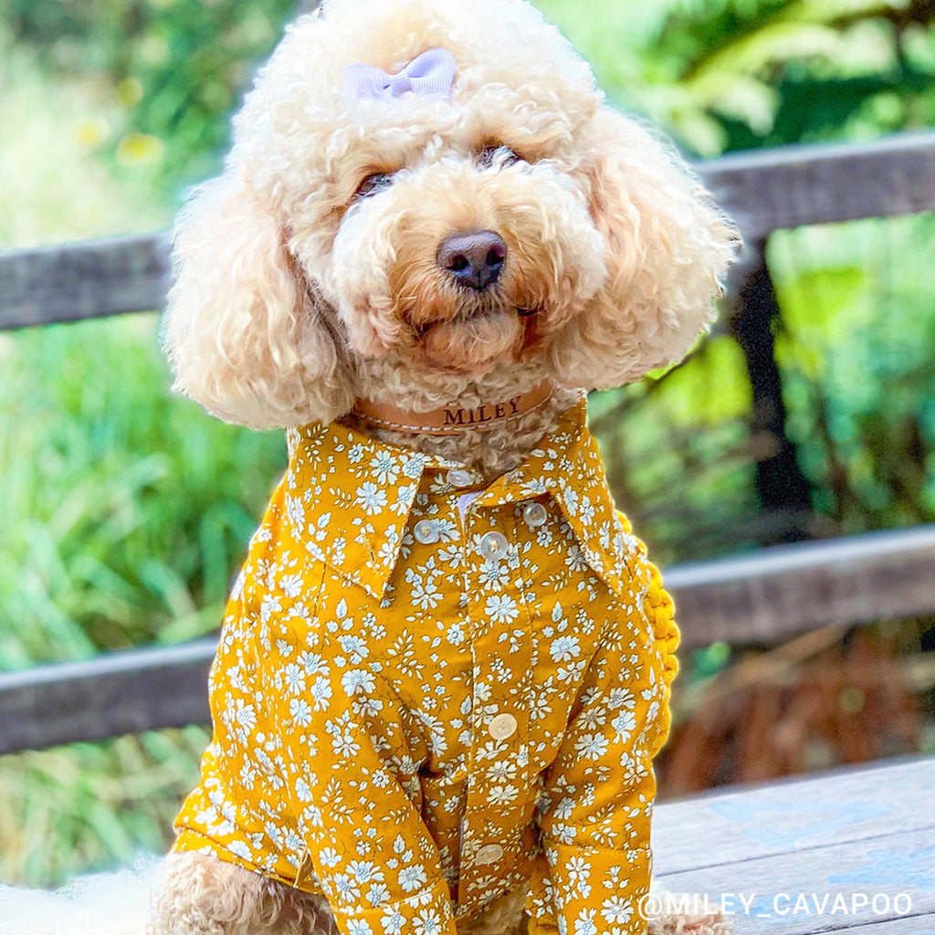 Liberty Dog Shirt - Mustard