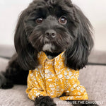 Liberty Dog Shirt - Mustard