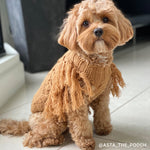 Merino Wool Fringe Knit Dog Sweater - Toffee