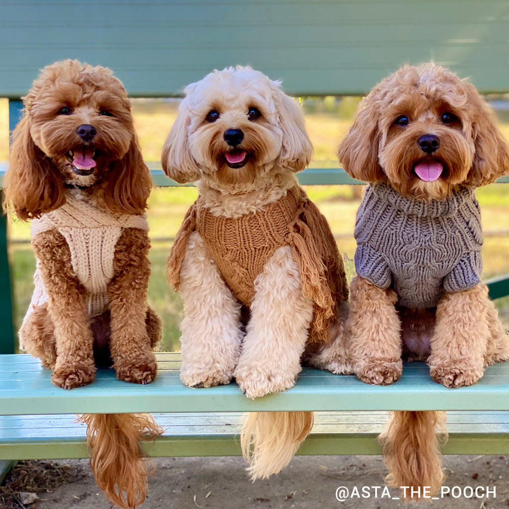 Merino Wool Fringe Knit Dog Sweater - Toffee