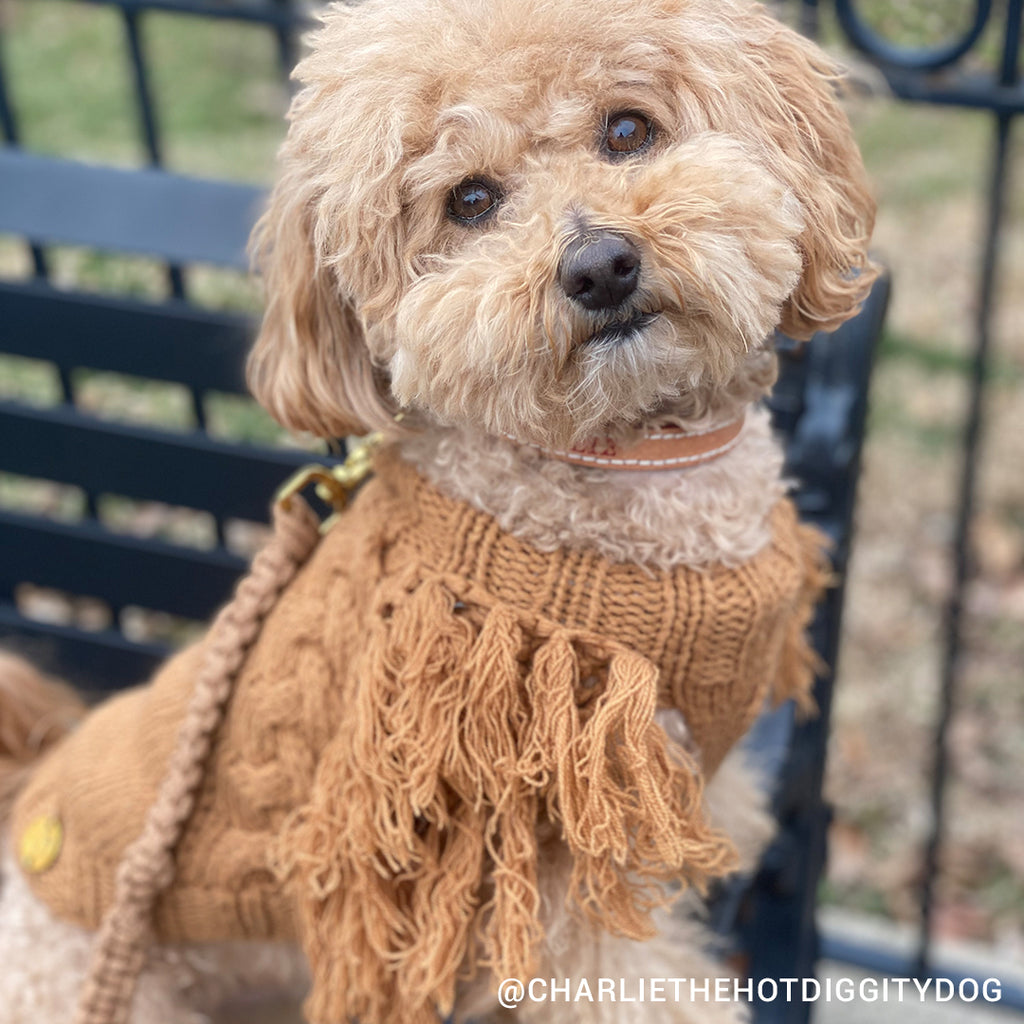 Merino Wool Fringe Knit Dog Sweater - Toffee