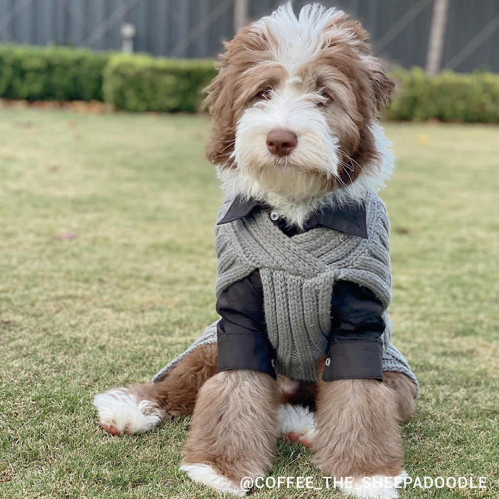 Merino Wool Weave Knit Dog Sweater - Charcoal