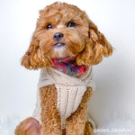 Merino Wool Weave Knit Dog Sweater - Oat