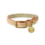 Macramé/Leather Dog Collar - Gold