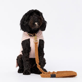 Merino Wool Weave Knit Dog Sweater - Soft Pink