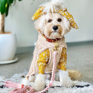 Sebastian Says Pink Dog Leash